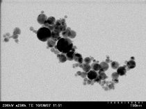Scanning TEM images of titanium dioxide agglomerations with various primary particles sizes and morphologies.