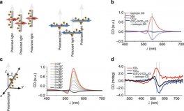 CD splitting theory and comparison to experimental results.