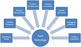 Food Industry: Disruptive Emerging Technologies