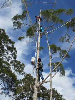 Mounting the base station on the tree/tower.