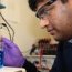 Metal ceramic nanocomposites