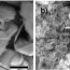Polymer clay nanocomposites Applications