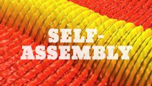 self-assembly