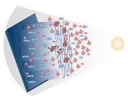 sensitized titania nanotube arrays