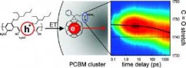 sensitized titania nanotube arrays