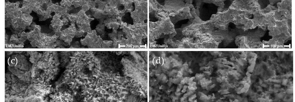 Carbon nanostructures for orthopedic medical applications