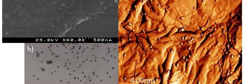 Graphene-metal particles nanocomposites