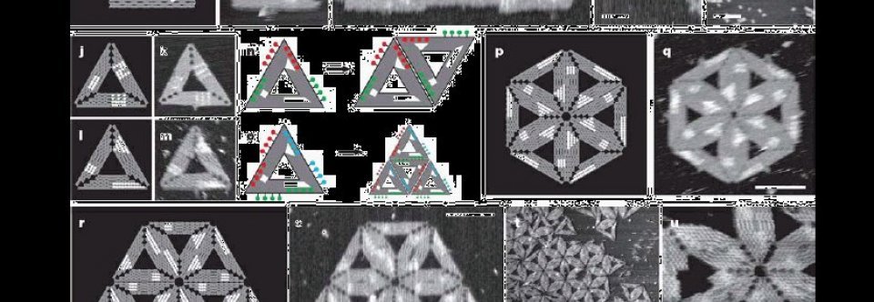Inorganic fullerene-like nanostructures