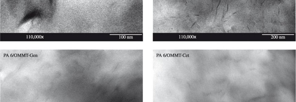 Layered Silicate nanocomposites