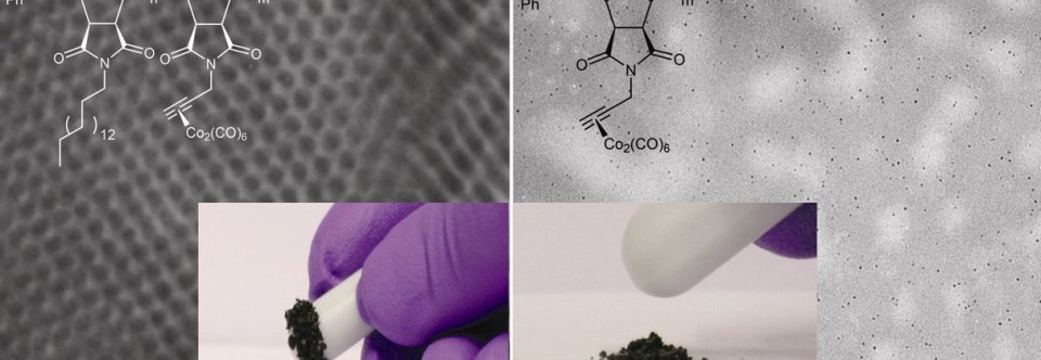 Magnetic carbon nanostructures in medicine