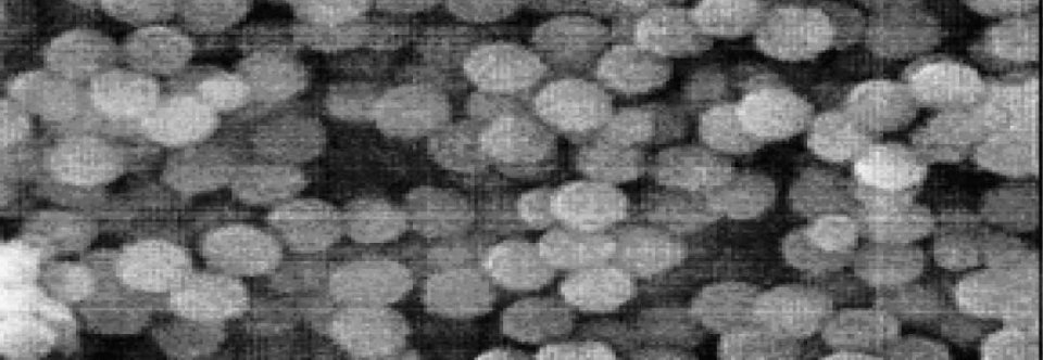 Nanocomposite adsorbent
