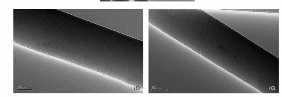 Nanocomposites Gold Silk nanofibers