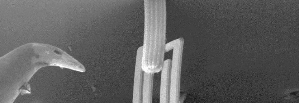 Nanomaterials fabrication techniques