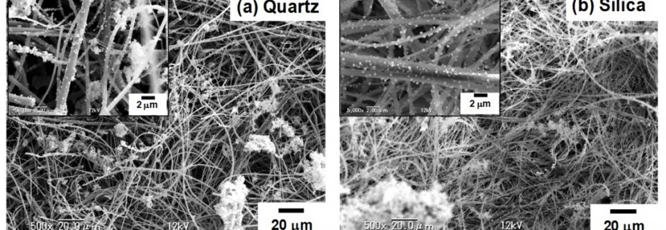 Natural Fibers nanocomposites