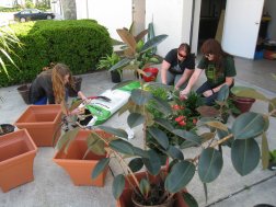 SolTec Employees planting trees on Earth Day