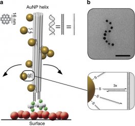 Surface-bound chiral plasmonic nanostructure.