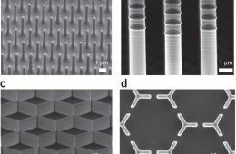 Engineering hierarchical nanostructures by elastocapillary Self Assembly