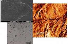 Graphene-metal particles nanocomposites