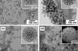 Platinum nanoparticles toxicity