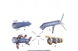 Polymer carbon nanotubes nanocomposites