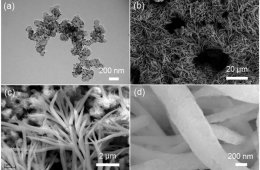 Supported platinum nanoparticles